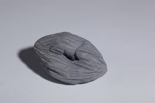 Pollen (6)